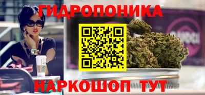 кокс Гусев