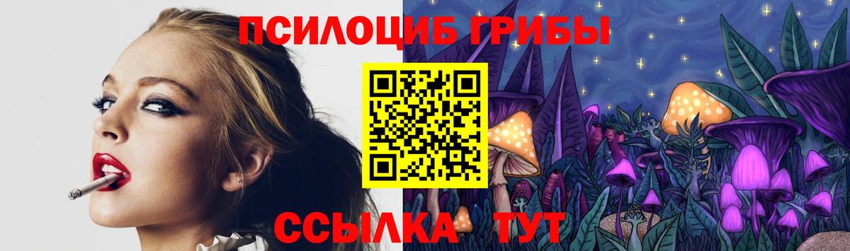 Галлюциногенные грибы Cubensis  Галлюциногенные грибы прущие грибы  Медногорск  Вход с VPN 